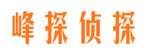 萍乡找人公司